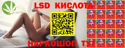 индика Вязьма
