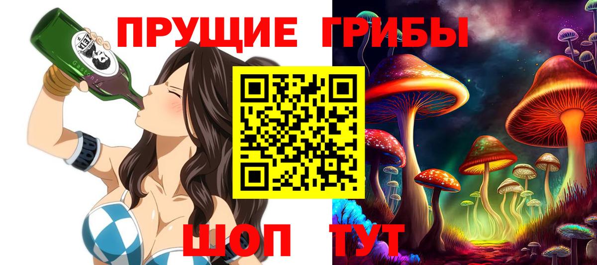 Псилоцибиновые грибы Cubensis Ростов Великий