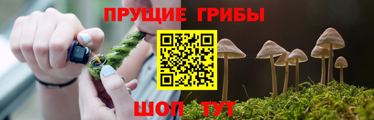 Ростов Великий  Галлюциногенные грибы Psilocybe  Вход с VPN 